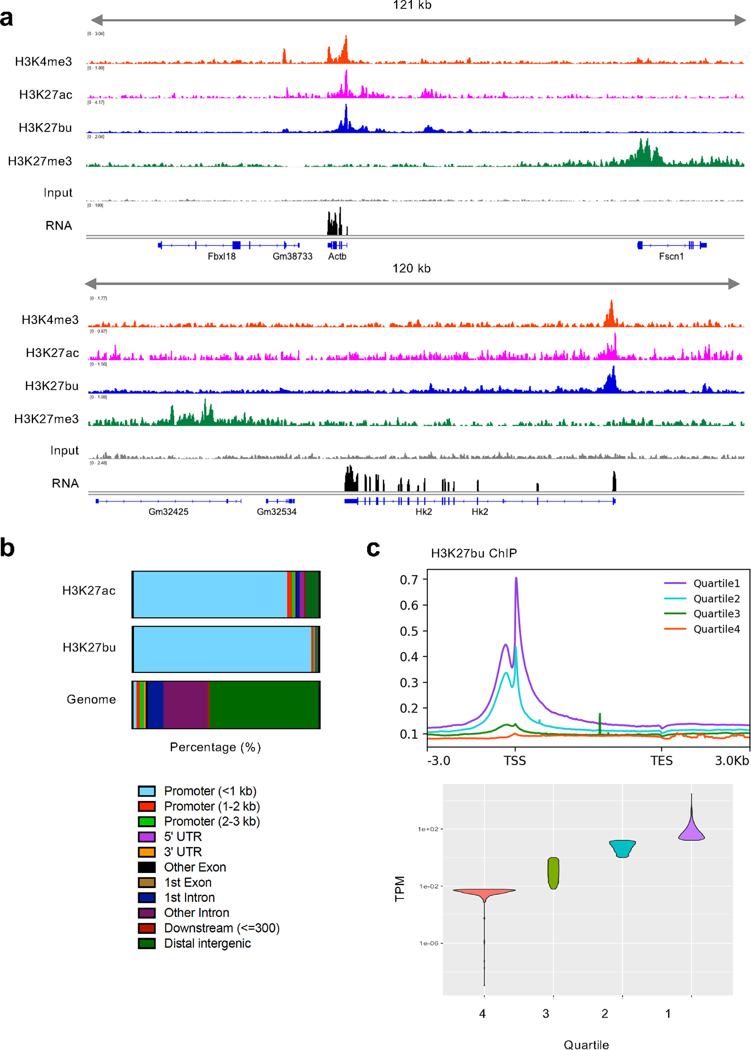 Fig. 4: