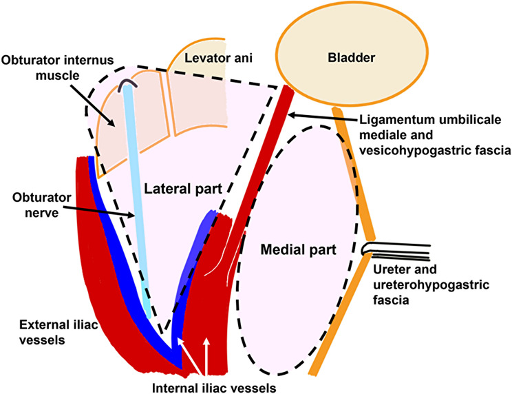 Fig. 1