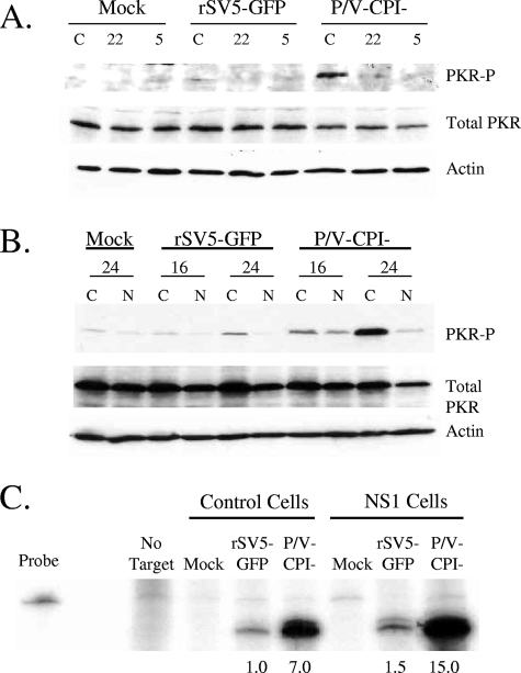 FIG. 6.