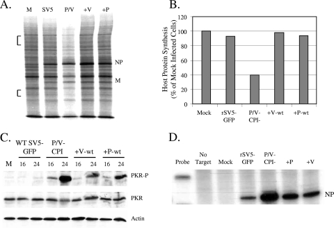 FIG. 8.