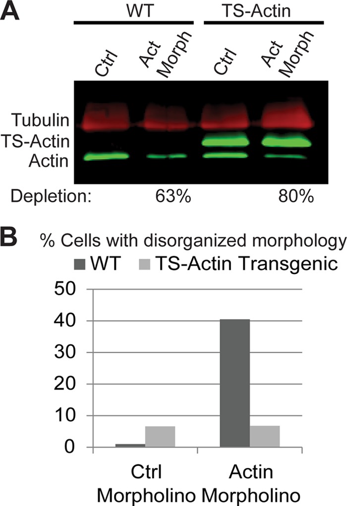 FIG 2