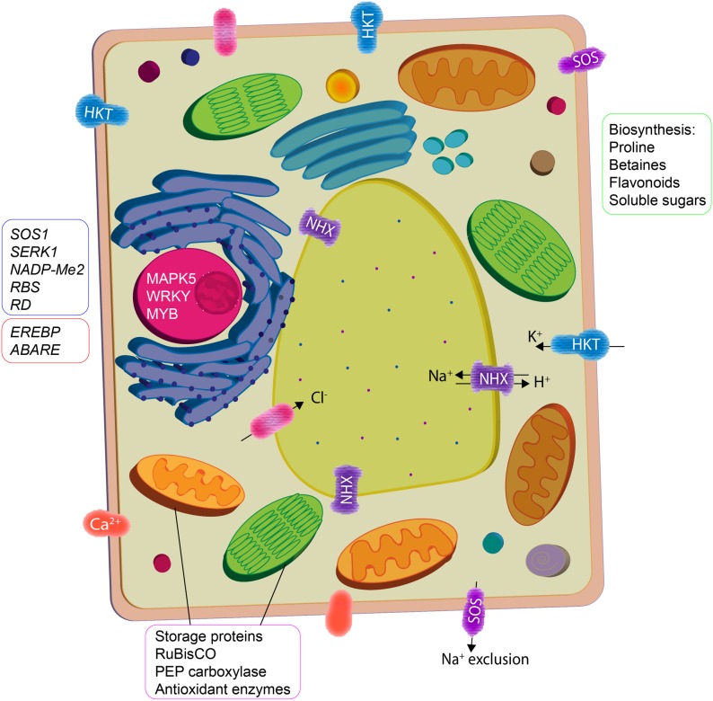 FIGURE 2