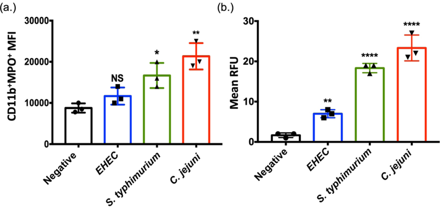 Figure 5: