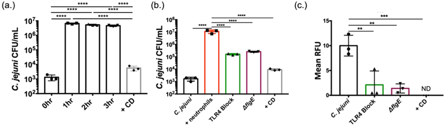 Figure 6: