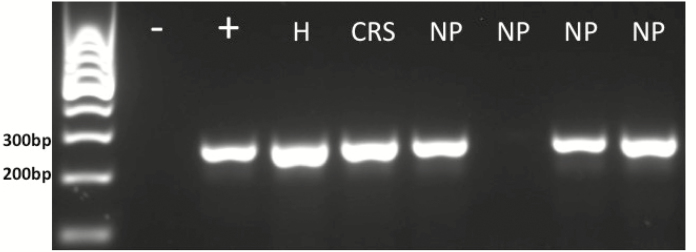 Figure 4.