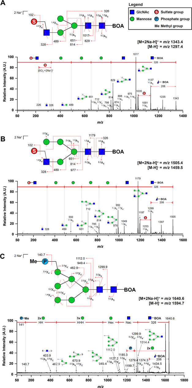 Figure 2