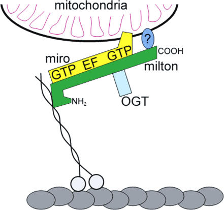 Figure 10.