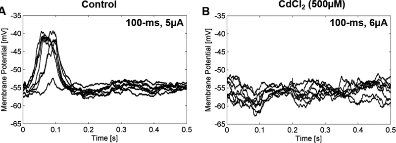 Figure 6: