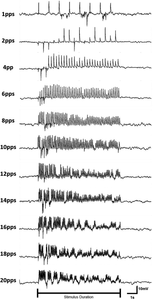 Figure 13: