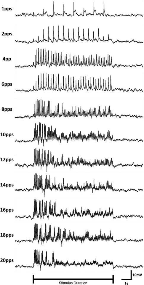 Figure 11: