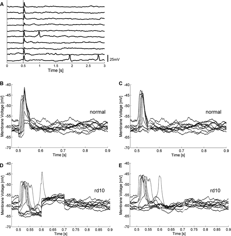 Figure 2: