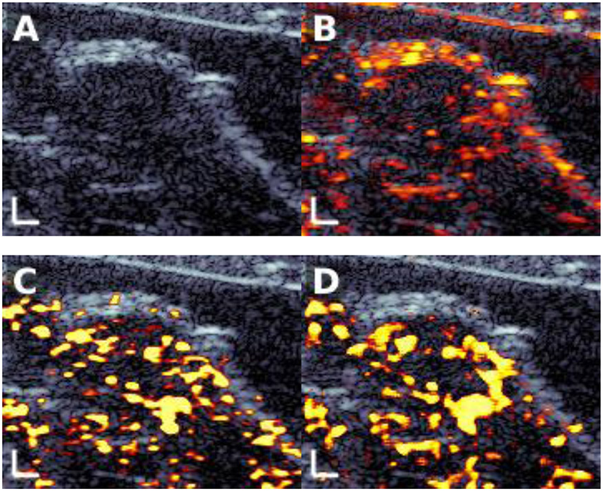 Figure 5: