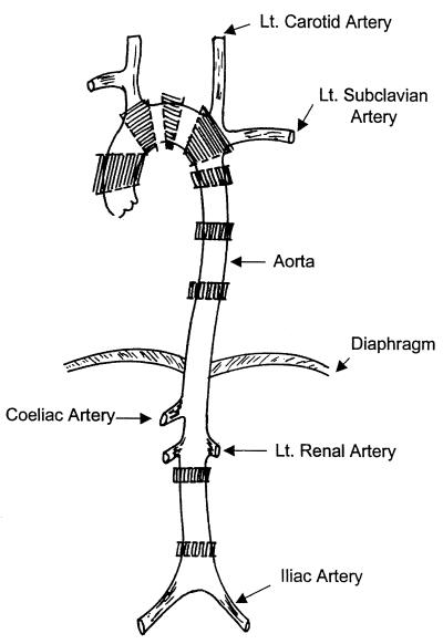 FIG. 2.