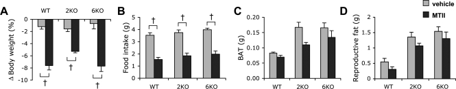 Figure 2.