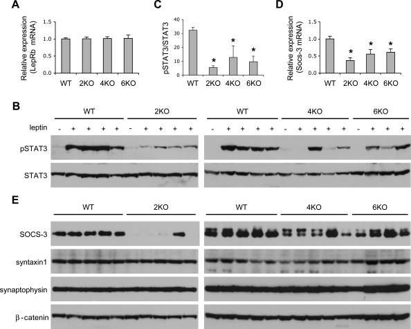 Figure 3.