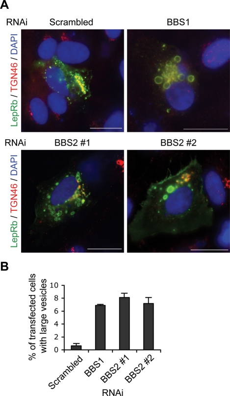 Figure 6.