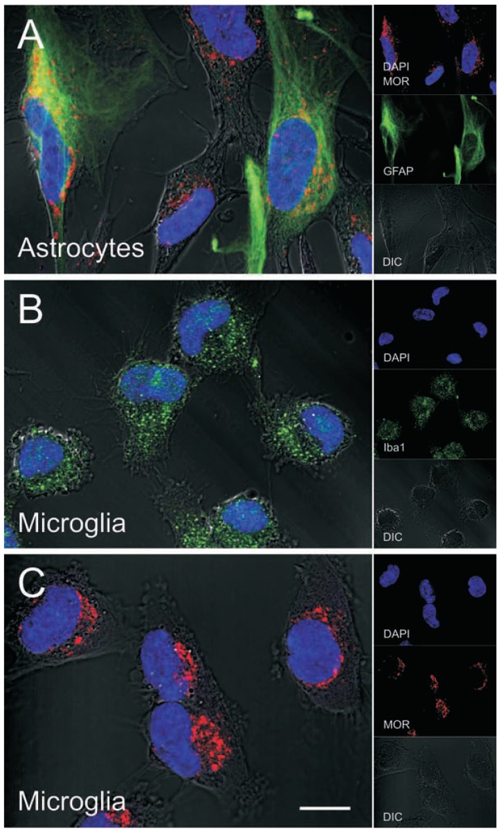 Fig. (3)