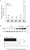 Figure 6.