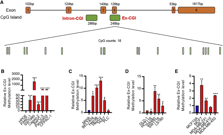 Figure 1