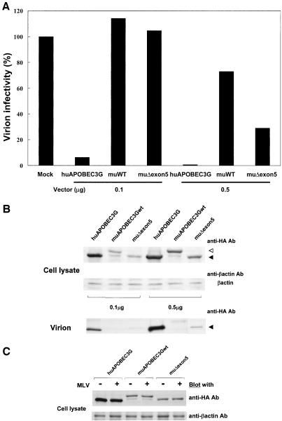 FIG. 6.