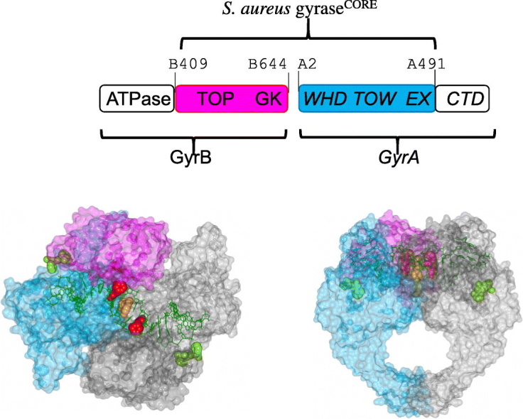 Unlabelled Image