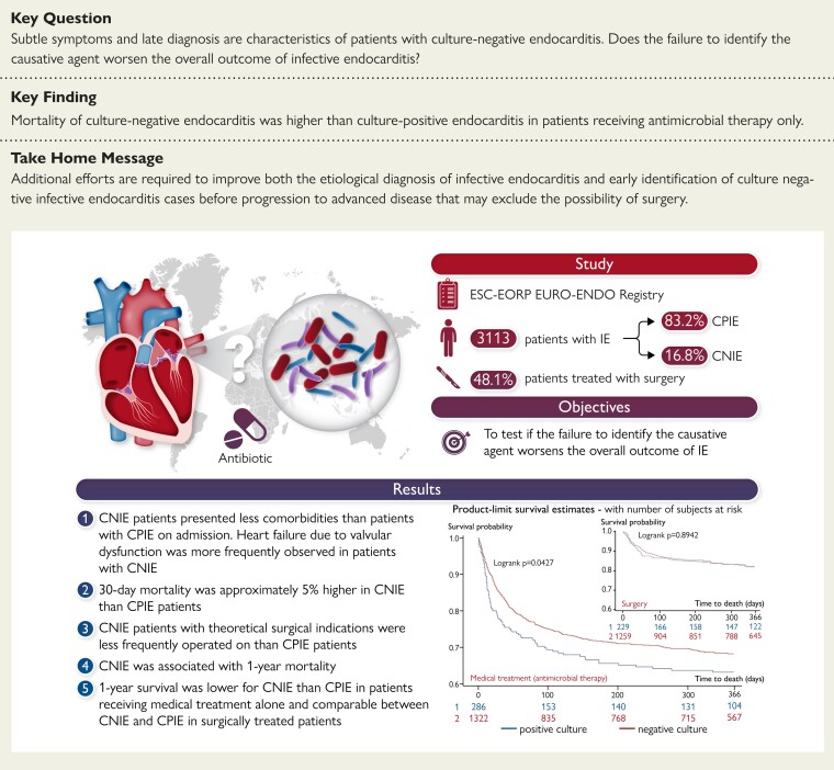 Structured Graphical Abstract