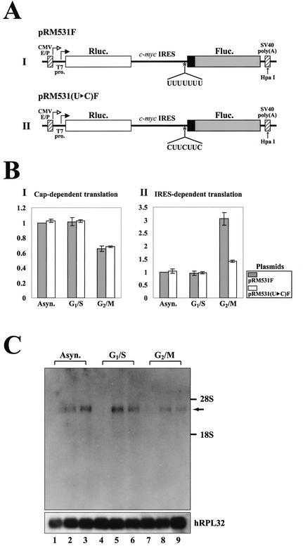 FIG. 5.