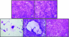 FIG. 3.