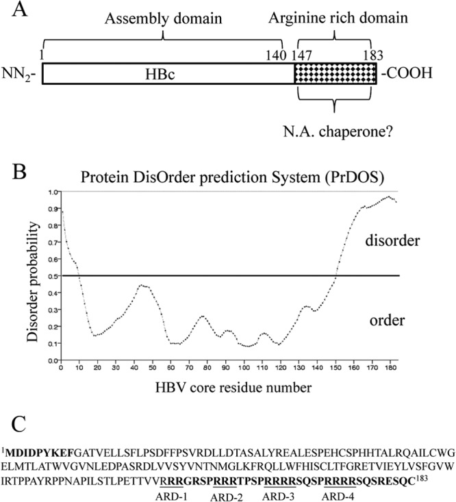 FIG 2