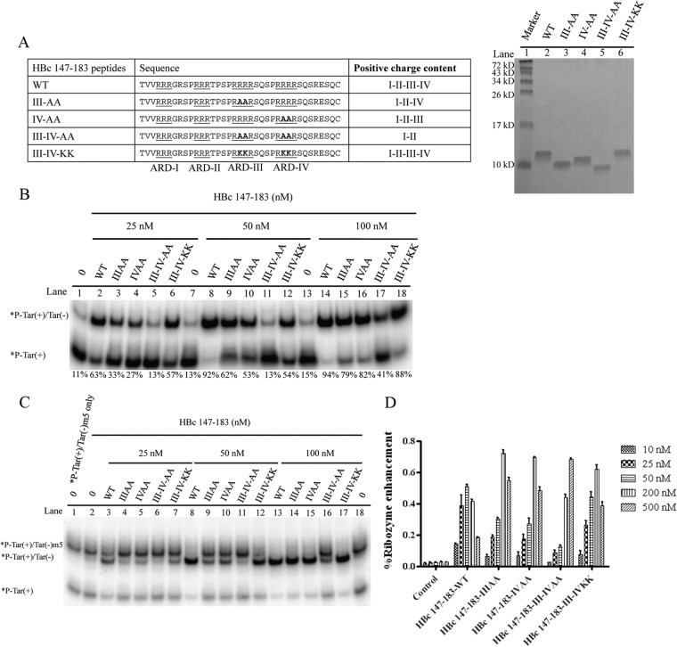 FIG 8