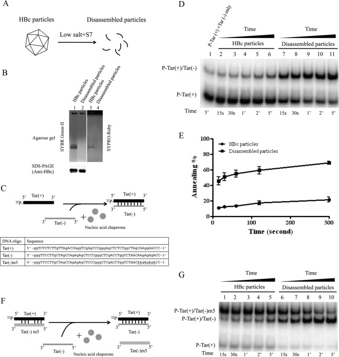 FIG 1