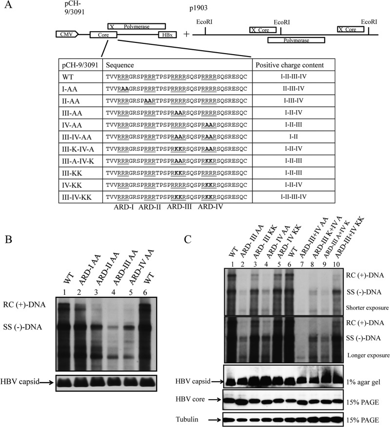 FIG 9