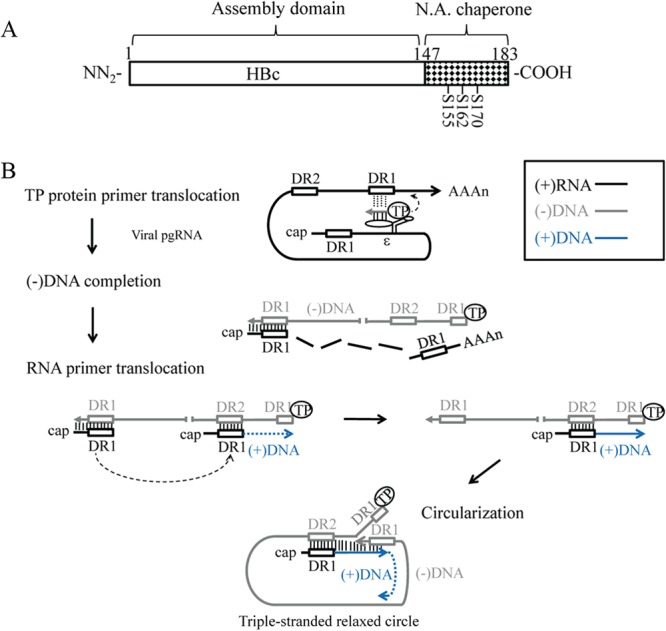 FIG 10