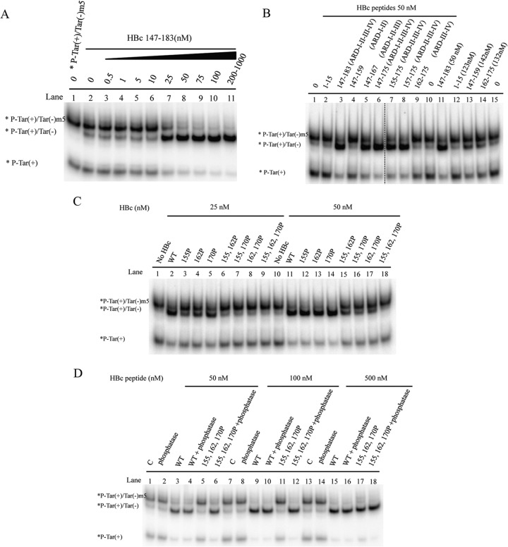 FIG 6