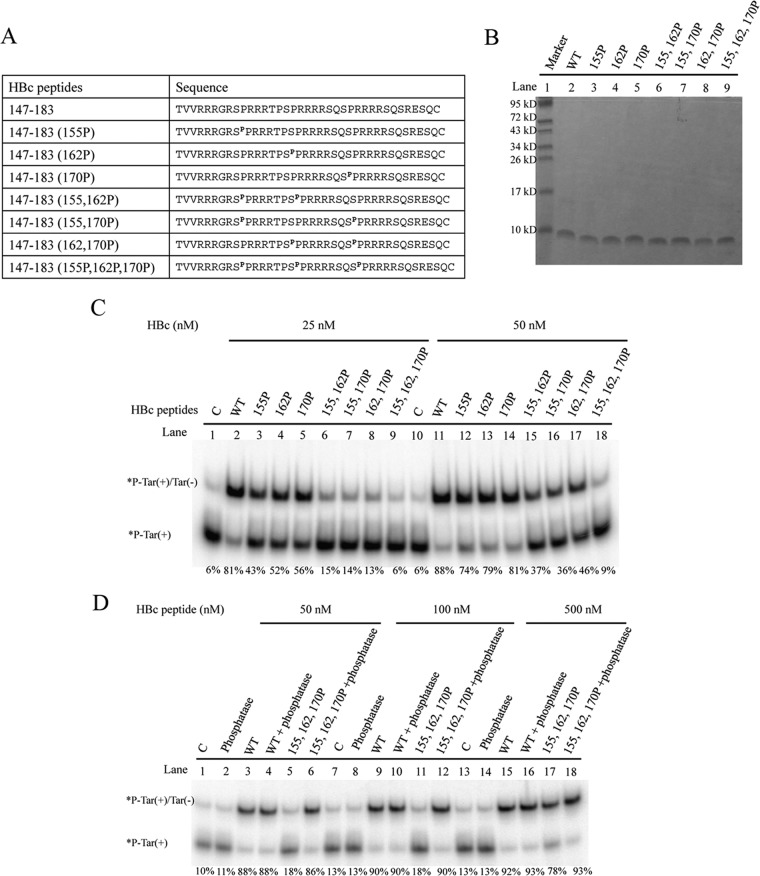 FIG 5