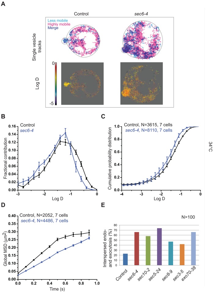 FIGURE 6: