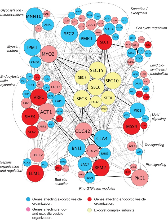 FIGURE 4: