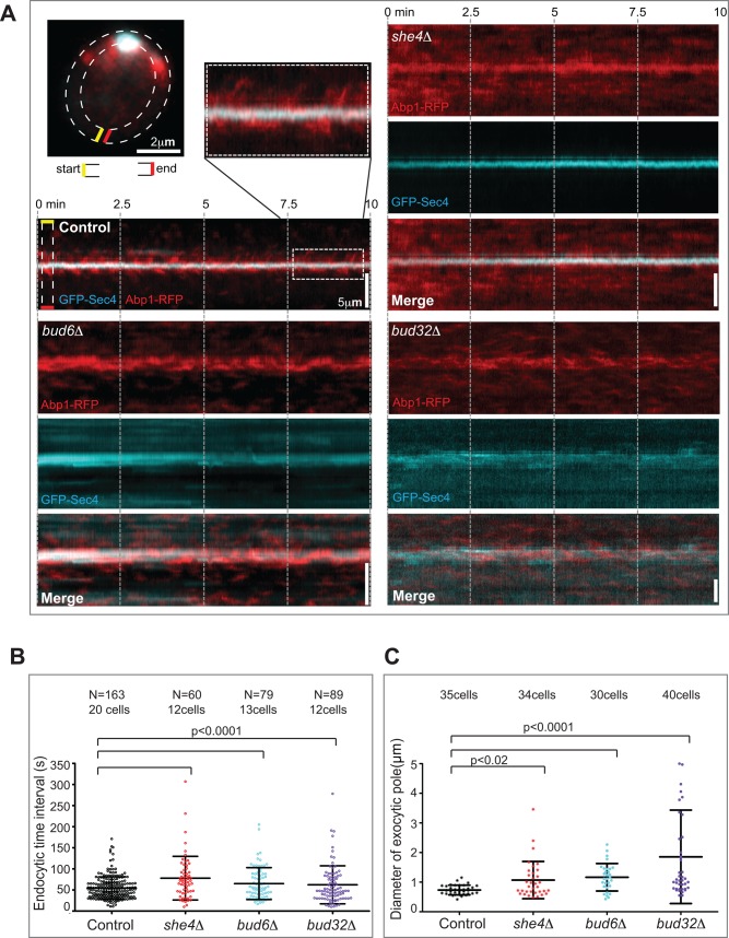 FIGURE 2: