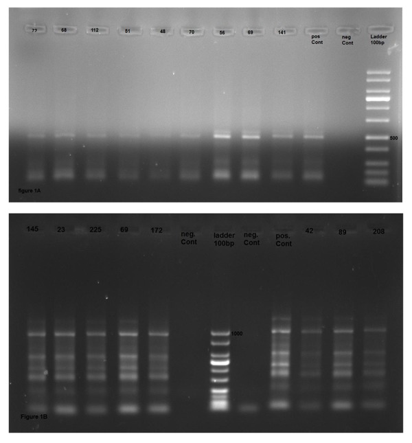 Fig.1