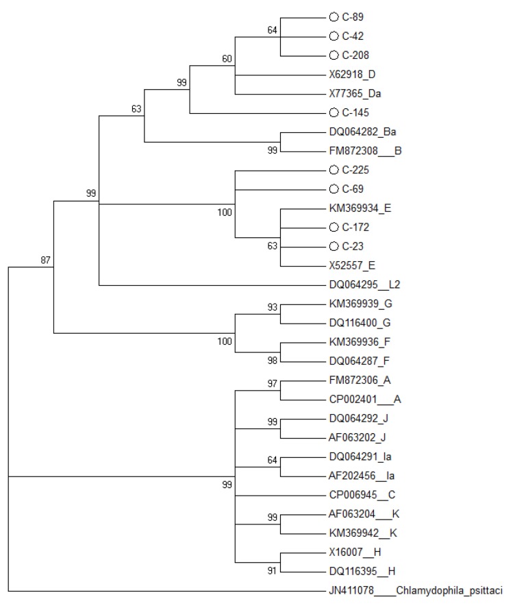 Fig.2