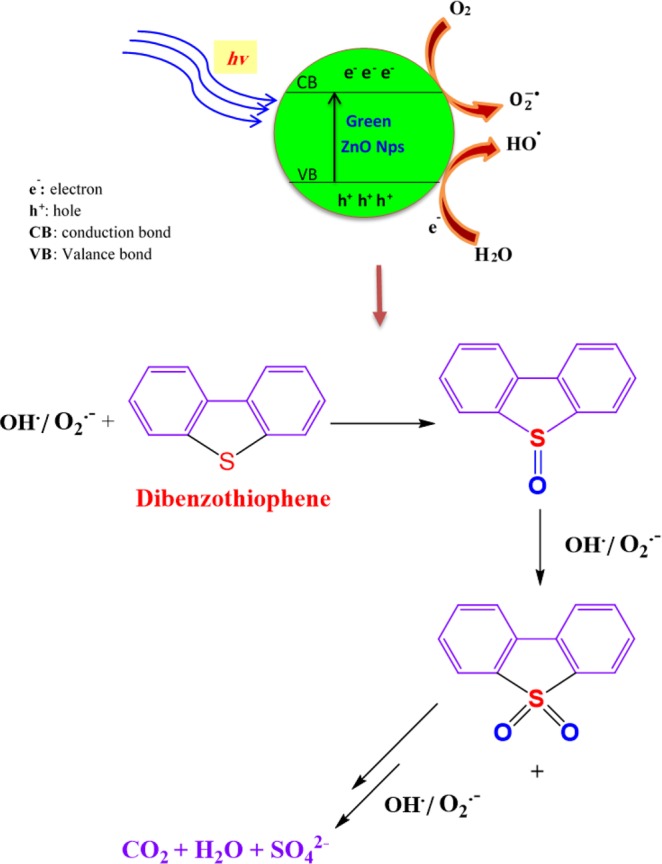 Figure 9