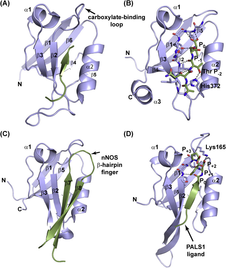 Figure 3