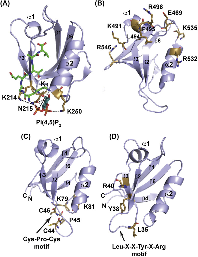 Figure 6