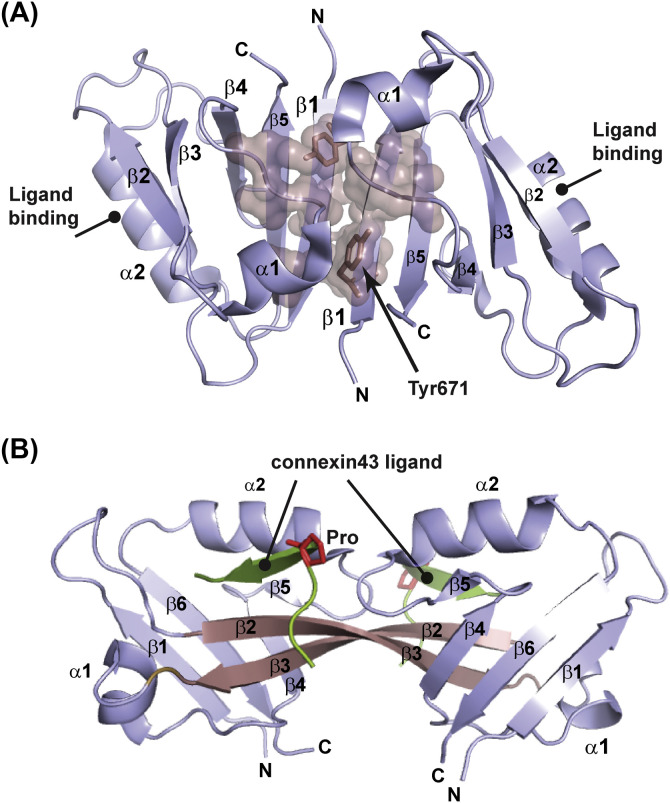 Figure 5