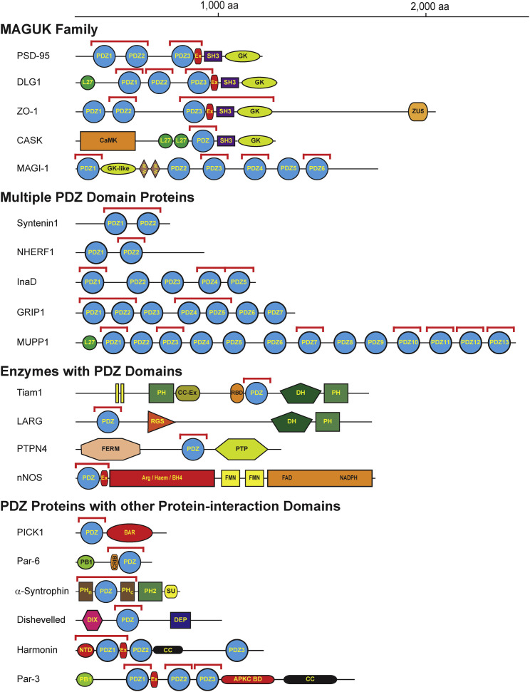 Figure 1