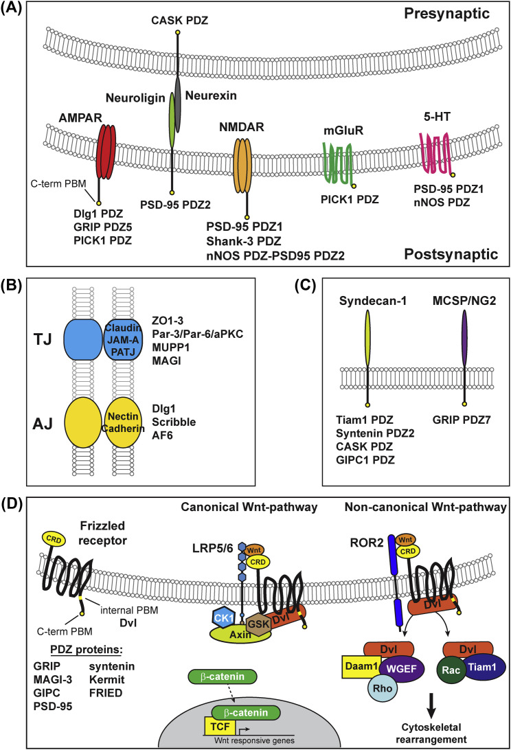 Figure 2