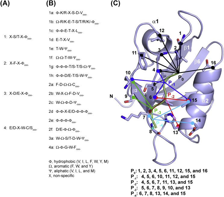 Figure 4