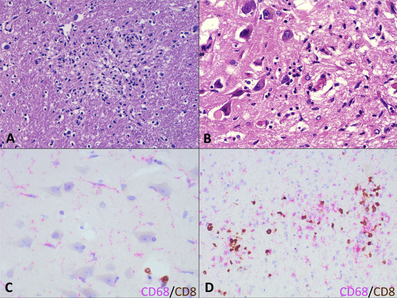 Fig. 1