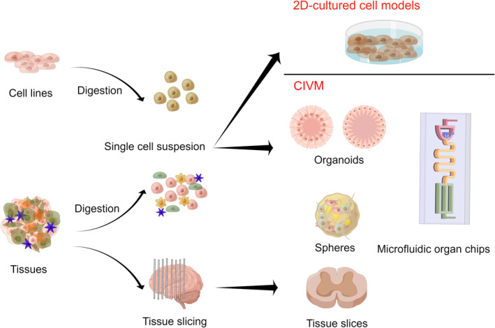 FIGURE 1