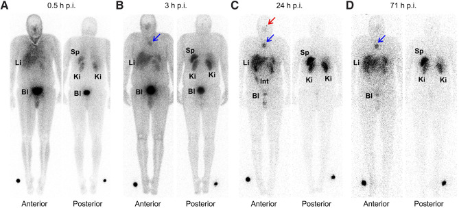 FIGURE 1.